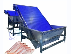 Máquina automática de classificação de peixes 4900W Antieródio multiuso