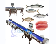 Máquina de classificação de peixe de alta qualidade Máquina de dimensionamento de peixe Potência 1,3KW Foco classificação de peixe