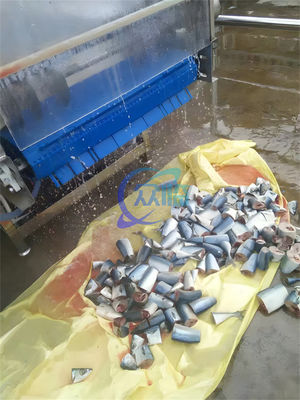 1500W SUS304 Fish Cutting Equipment , Anti Corrosion Tuna Cutting Machine