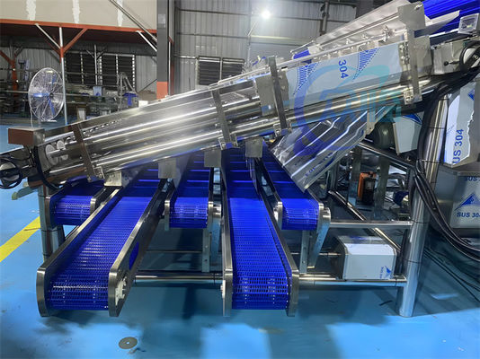 Anti Corrosion Shrimp Sorting Machine Multiscene Practical 4.9KW
