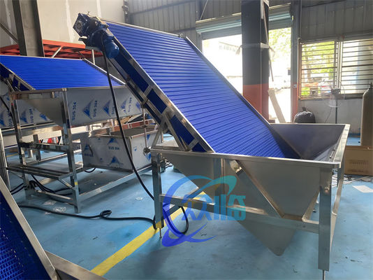 Anti Corrosion Shrimp Sorting Machine Multiscene Practical 4.9KW