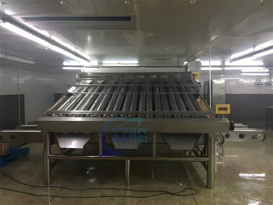 380V 50Hz Shrimp Grading Machine Multifunctional For Prawn Sizing
