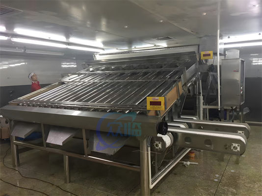 380V 50Hz Shrimp Grading Machine Multifunctional For Prawn Sizing