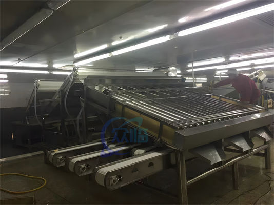 380V 50Hz Shrimp Grading Machine Multifunctional For Prawn Sizing