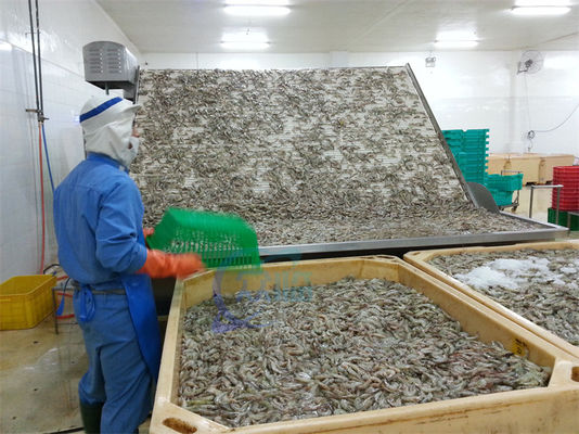 Multifunctional Shrimp Grading Machine Durable Stainless Steel