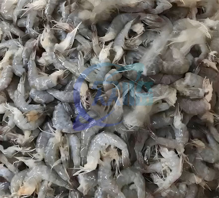 Automatic Light Sensitive Shrimp Head Screening Machine Intelligent Shrimp Head Sorting Machine