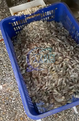 Automatic Light Sensitive Shrimp Head Screening Machine Intelligent Shrimp Head Sorting Machine