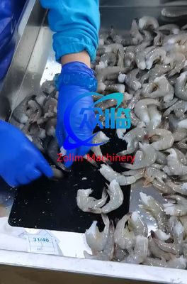 High Speed Automatic Shrimp Cutting Machine For Restaurant And Factory
