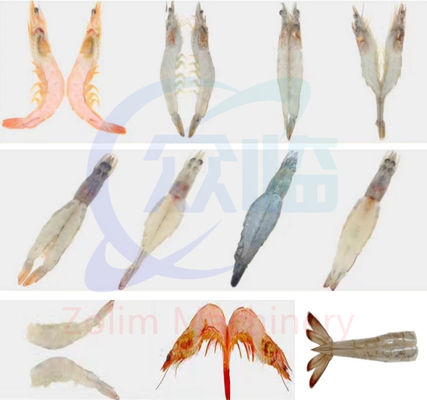 High Speed Automatic Shrimp Cutting Machine For Restaurant And Factory