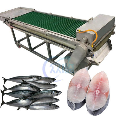 Bom preço 1500W SUS304 Equipamento de corte de peixe, Máquina de corte de atum anti-corrosião on-line