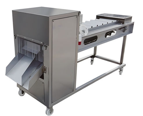 Bom preço SUS304 Máquina industrial de corte de peixe 380V 60-90 peças/min on-line