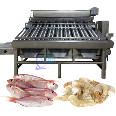 Bom preço Equipamento durável de classificação de peixe 380V, máquina de classificação de peixe anti-erosão on-line