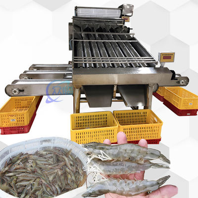 Bom preço Máquina de classificação de camarão 3P Multiscene Automática Multifunção on-line