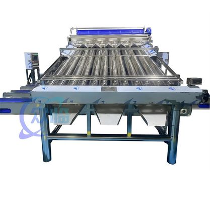 4900W SUS304 Máquina de classificação de camarão, Máquina de classificação de lavagem de camarão durável