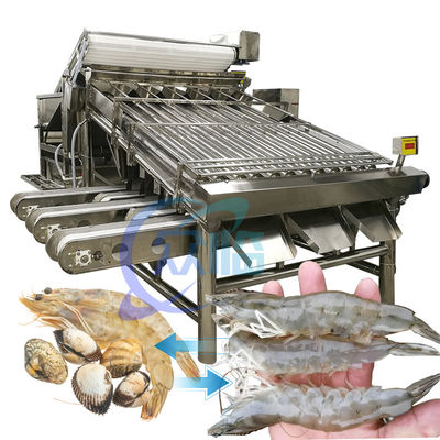 Bom preço Máquina de classificação de camarão de aço inoxidável Prática 6000x4000x2200mm on-line