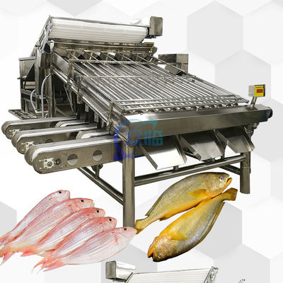 Bom preço Máquina automática de classificação de peixes 4900W Antieródio multiuso on-line