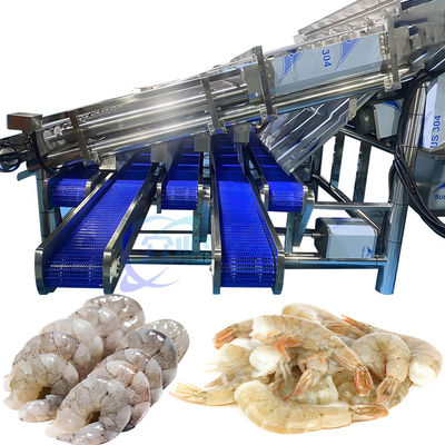Bom preço Equipamento de triagem de camarão de aço inoxidável on-line
