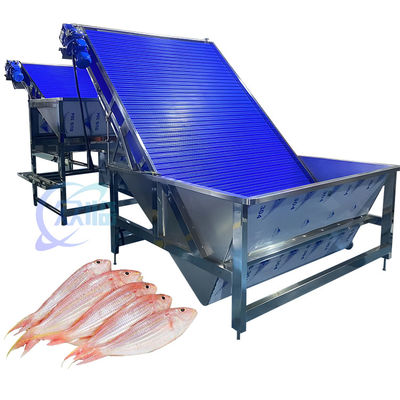 Bom preço Máquina de triagem de camarão anti-corrosião Multiscene Prático 4.9KW on-line