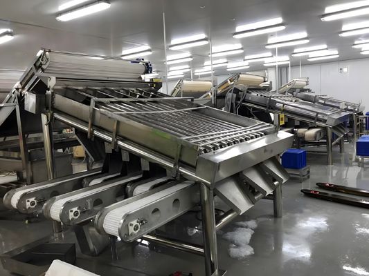 Bom preço 3P Máquina durável de classificação de camarão, Equipamento de classificação de camarão anti-erosão on-line