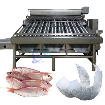 Bom preço Máquina de classificação de peixes pequenos e estáveis Multifuncional 6000x5200x2200mm on-line