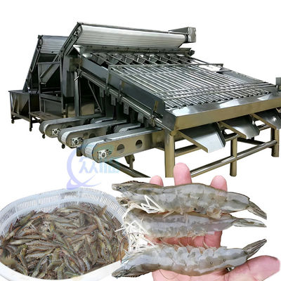 Bom preço Máquina de classificação de camarão de peixe de 1500 kg on-line