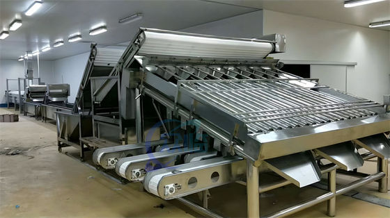 Multifunctional Shrimp Grading Machine Durable Stainless Steel