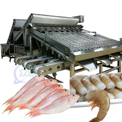 Bom preço Máquina de classificação de frutos do mar ISO 1500KG, classificador de tamanho de peixe multifuncional on-line