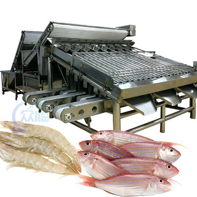Bom preço 4.9KW Máquina prática de classificação de peixes, equipamento automático de classificação de peixes on-line