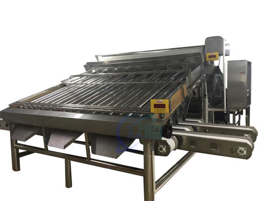 Bom preço Máquina de classificação de camarão de 4,9KW durável automática para dimensionamento de camarão on-line