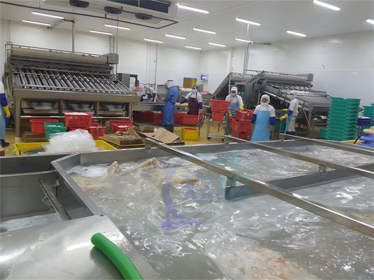 Bom preço ISO Industrial Automática de Processamento de Peixes, Multifuntcional de Processamento de Produtos do Mar on-line