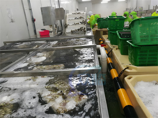 Bom preço SUS304 Máquina de processamento de peixe estável impermeável para limpeza de camarão on-line