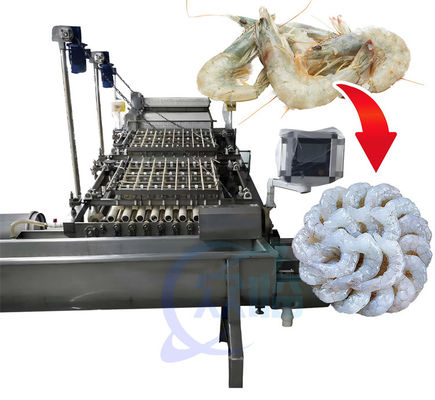 Sistema prático de descascagem de camarão 3KW Multifuncional para limpeza de conchas