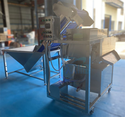 Bom preço Máquina de limpeza de peixe multifuncional Anti-erosão automática on-line