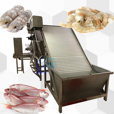 Máquina de classificação de camarão 380V 50Hz, Equipamento de processamento de marisco durável