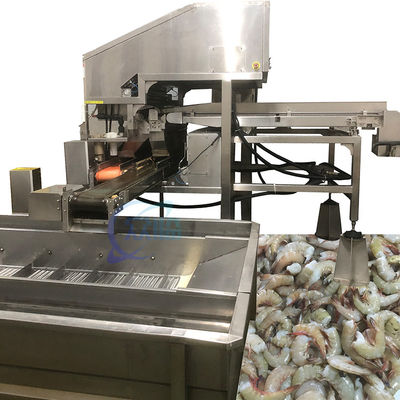 Instalação estável de processamento de frutos do mar de 380 V, linha de descabeçamento de camarão multiuso