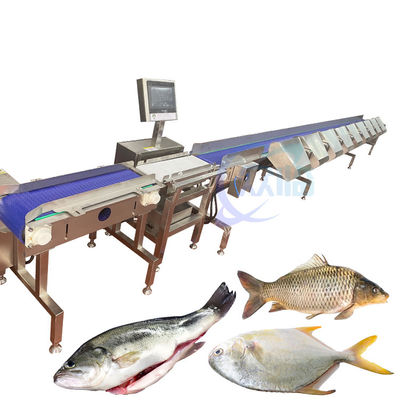 Máquina de triagem de peso de peixe totalmente automática transportador de alimentos balança de pesagem
