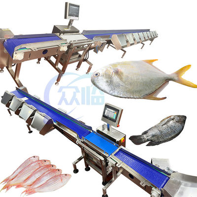 SUS304 Máquina de triagem de peso de peixe alavanca tipo 261 unidades/min