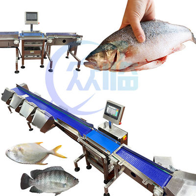 Máquina de pescar peixe comercial de peso único 1g-3g Pangasius classificação