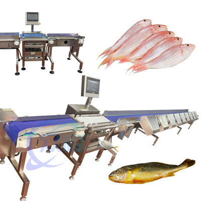 Bom preço Máquina de triagem de peixes vivos de alta precisão Equipamento de triagem de peixes vivos Tilapia Dimensão on-line