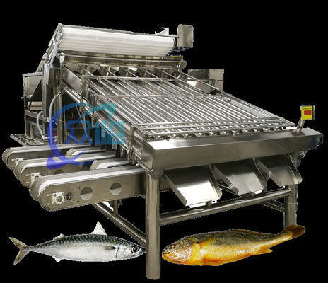 Bom preço Máquina de classificação de peixes de pequeno porte eficiente Sistema de classificação de cavala Grande capacidade 5T/H on-line