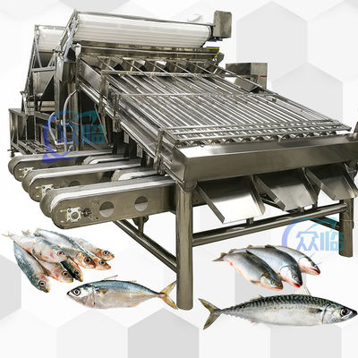 Bom preço Máquina de classificação de peixes para peixes pequenos Equipamento de classificação de peixes Sistema de classificação on-line