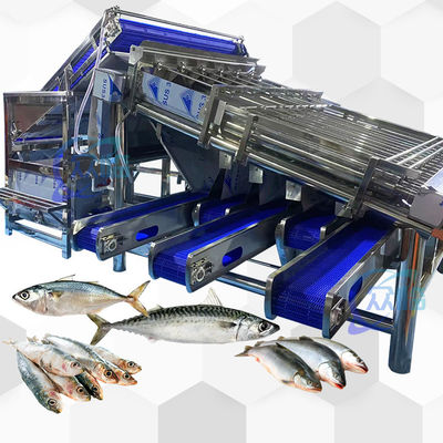Bom preço Máquina de classificação de peixes de alta capacidade on-line