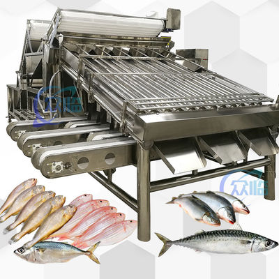 Bom preço Aço inoxidável 304 amarelo Croaker Grader 12pcs Roller Sardine Mackerel Grader on-line