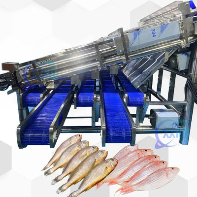 Máquina de classificação de peixe pequeno de 18pcs SS304