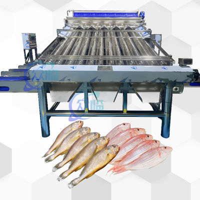 Bom preço Máquina automática de classificação de peixes com 12 rolos Classificador automático de peixes para 4-5 tamanhos on-line