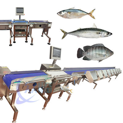 Bom preço China Especialidade Gráfico de Peixe de Carapaça Gráfico de Peixe de Carapaça Sorter de Peixe de Carapaça Sizer de Peixe de Carapaça Classificar on-line