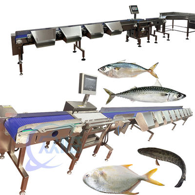 Bom Preço Tilapia Grader Tilapia Sorter Tilapia Sizter Tilapia Classify da China