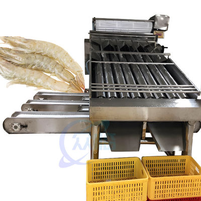 Equipamento de processamento do marisco e do camarão máquina da seleção da especificação de 304 peixes de aço inoxidável e de camarão