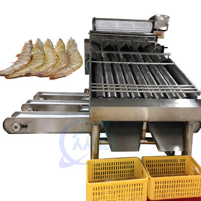 Bom preço Linha de produção de lavagem máquina do camarão da máquina de classificação do camarão do equipamento de processo do marisco de classificação de lavagem do camarão on-line