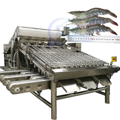 Máquina automática de classificação de camarão, máquina de classificação de camarão, máquina de classificação de camarão fresco, máquina de classificação de camarão fresco
